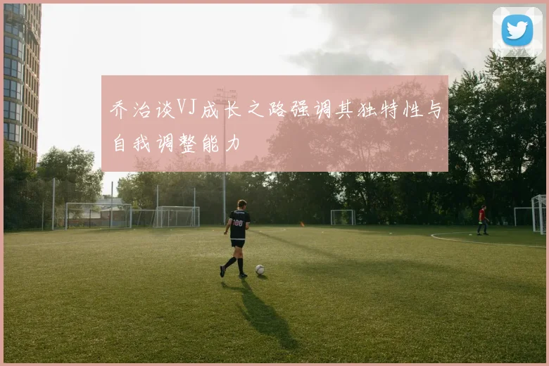 乔治谈VJ成长之路强调其独特性与自我调整能力